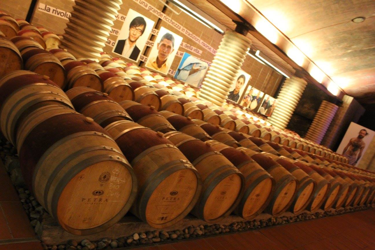 Barriccaia Petra Winery