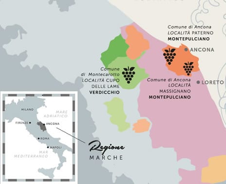 Mappa zona di produzione Verdicchio Castelli di jesi