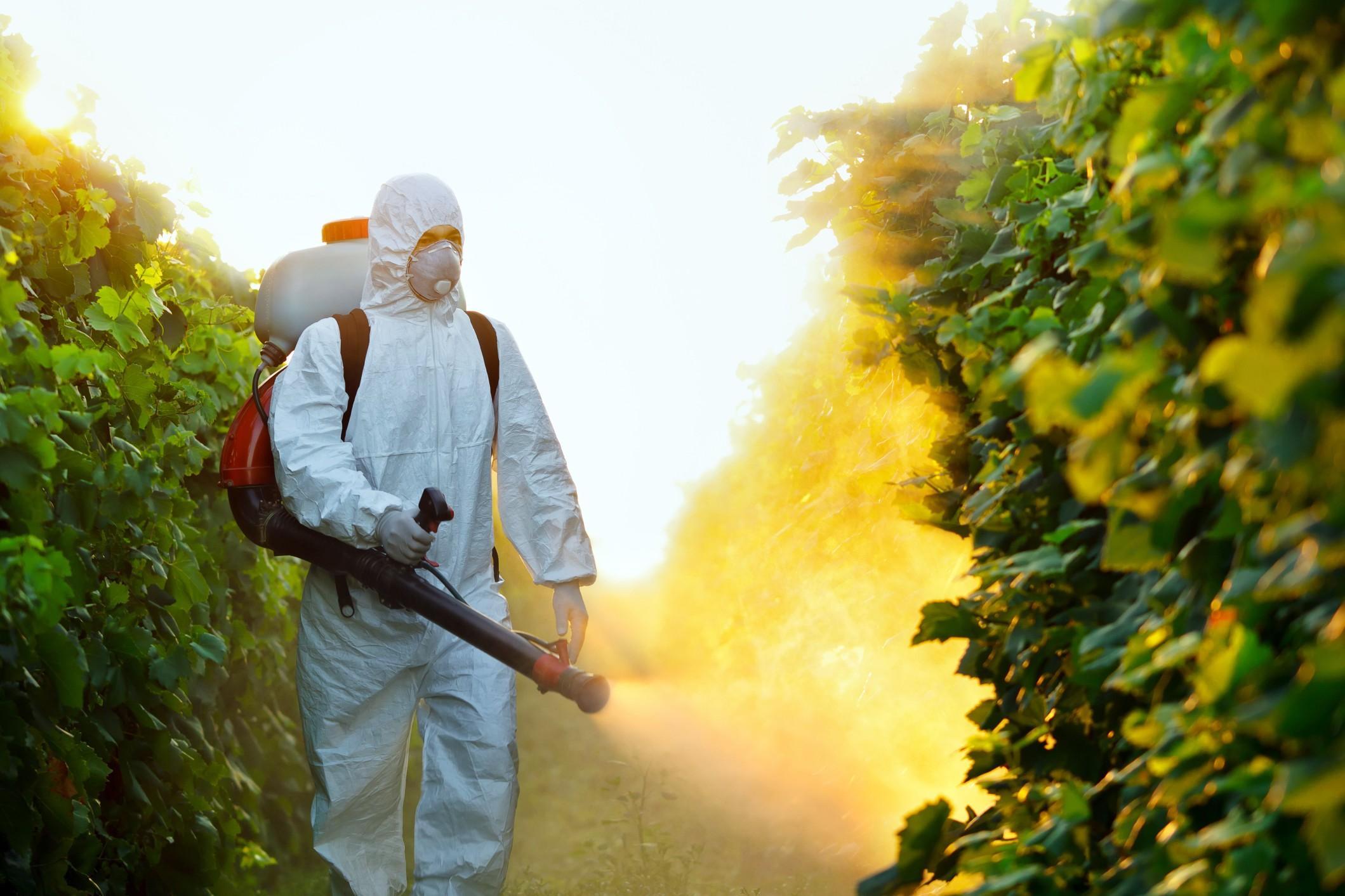 pesticidi in vigna anziché la biodinamica