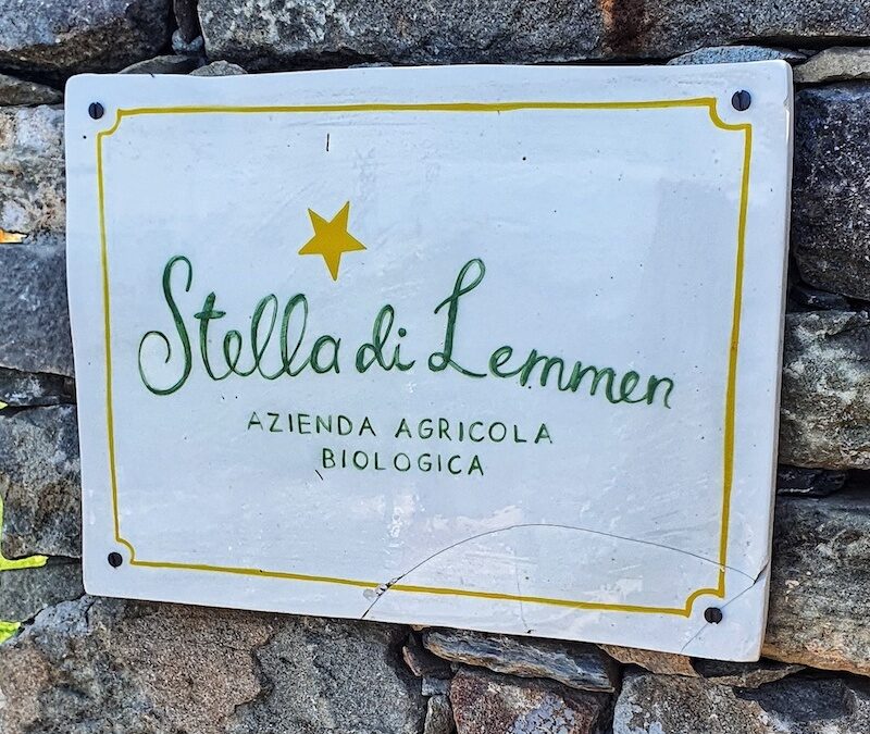 Stella di Lemmen: cantina alle Cinque Terre