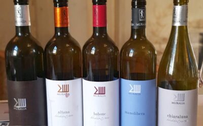 Muralia e il sogno di fare vino da Milano alla Maremma