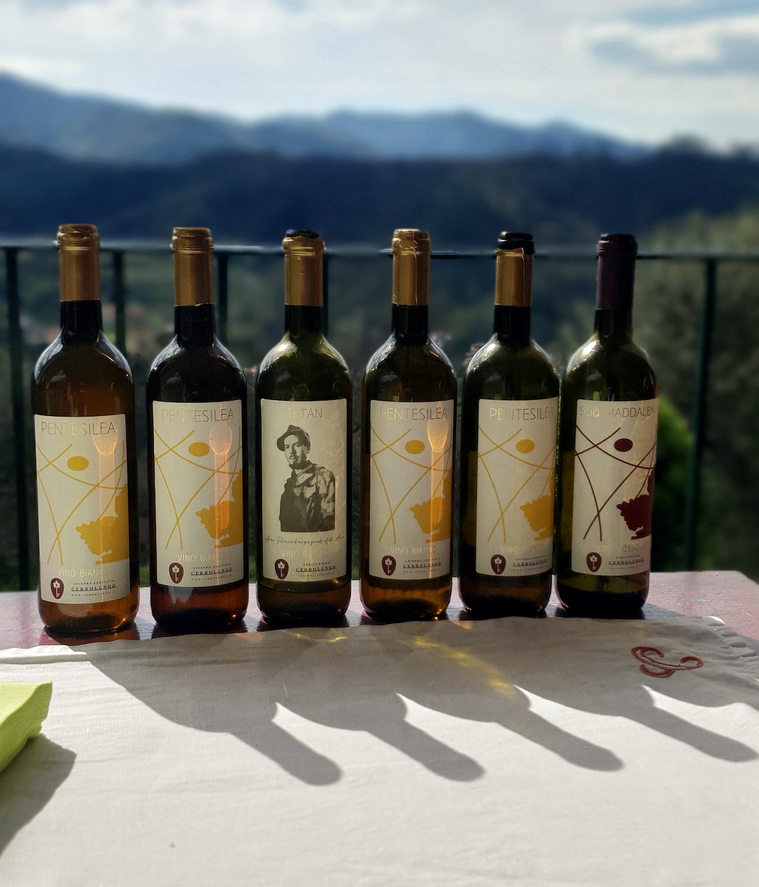 Verticale di vini di Cerrolungo