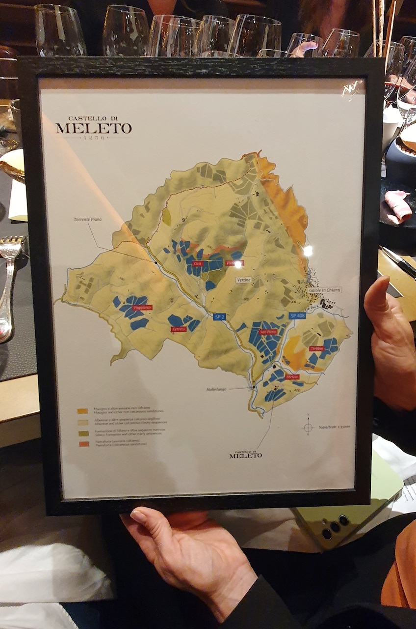 Mappa degli appezzamenti di Castello di Meleto